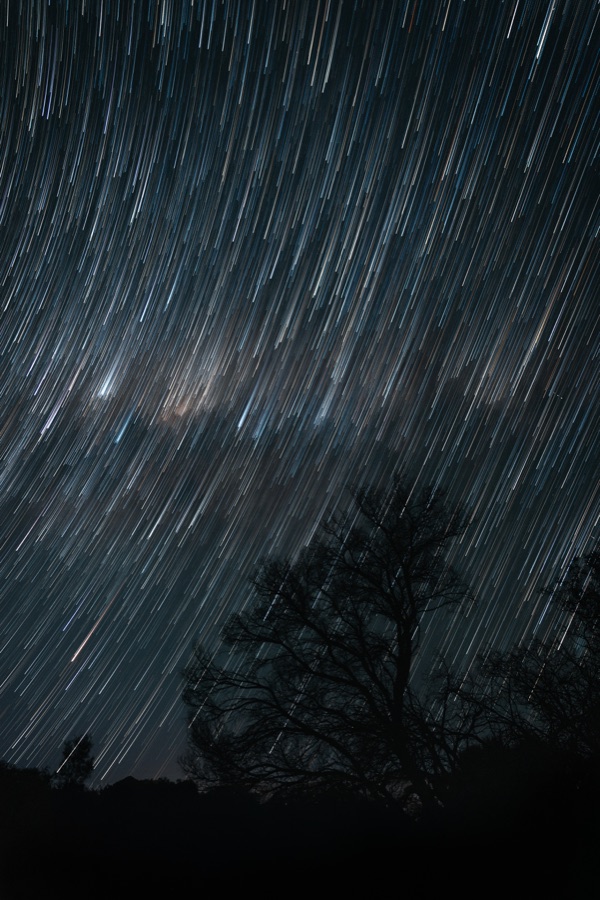 Star trails streaking across a dark sky above trees