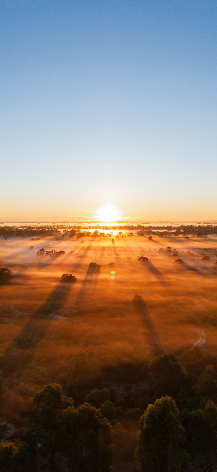 Golden sunrise and long tree shadows across misty bushland beneath a clear blue sky.